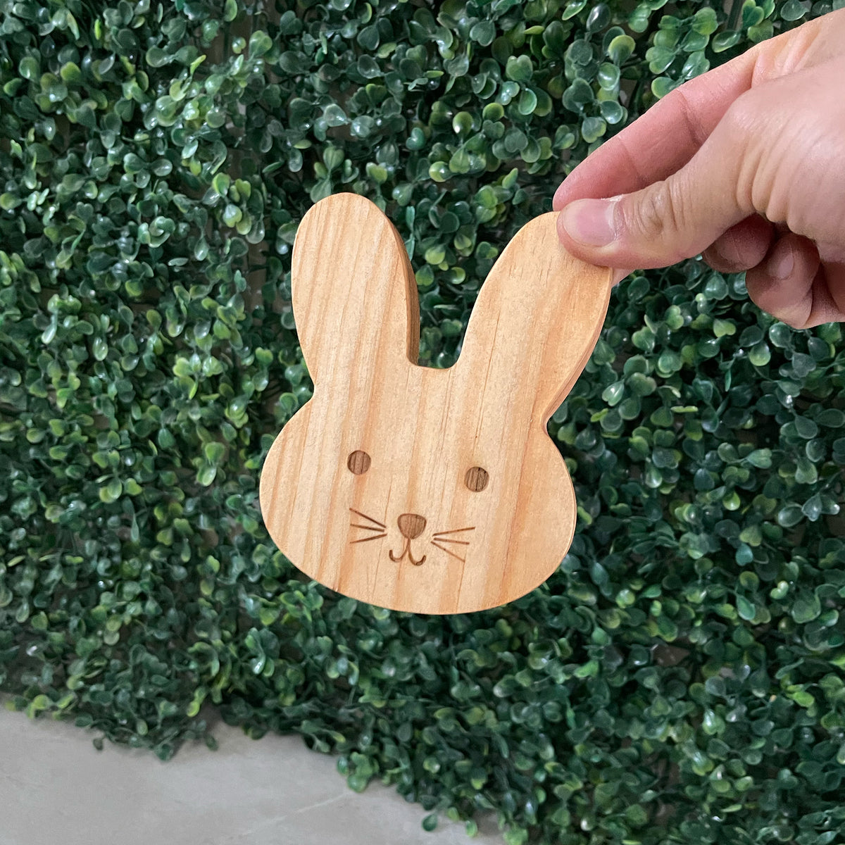 Mini Conejo para Eventos