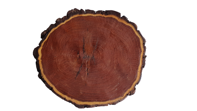 Plank - Mesquite Slice (Small)
